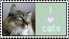 i love cats stamp Pictures, Images and Photos