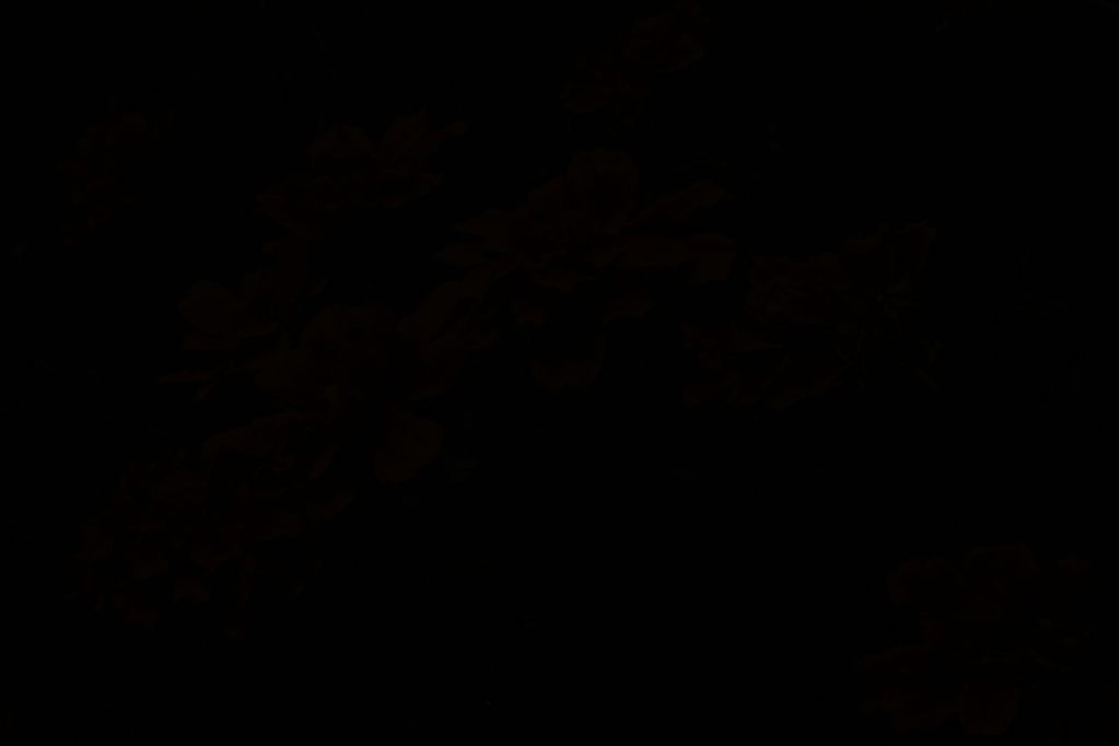 IMAGE: http://i127.photobucket.com/albums/p122/BrokenChainsX/Testf16iso100shutter1600.png