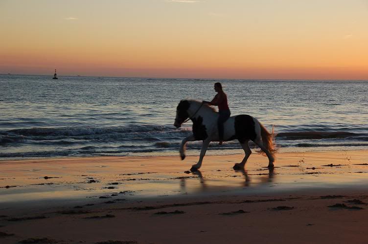 Veronica komt naar je toe deze zomer!! Baggio! • Bokt.nl