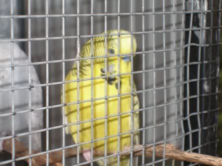 norm_prison_view.jpg