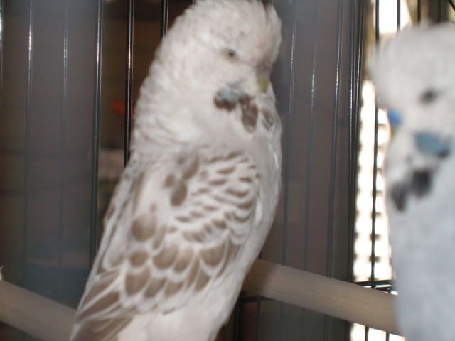 P1010111.jpg