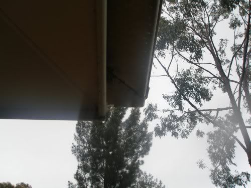P1010006.jpg