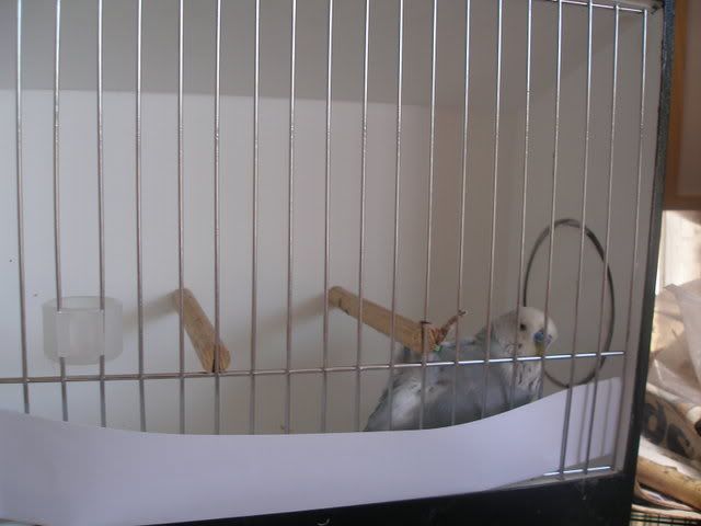 P1010001.jpg