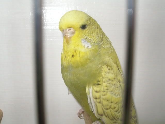 P1010002-1.jpg