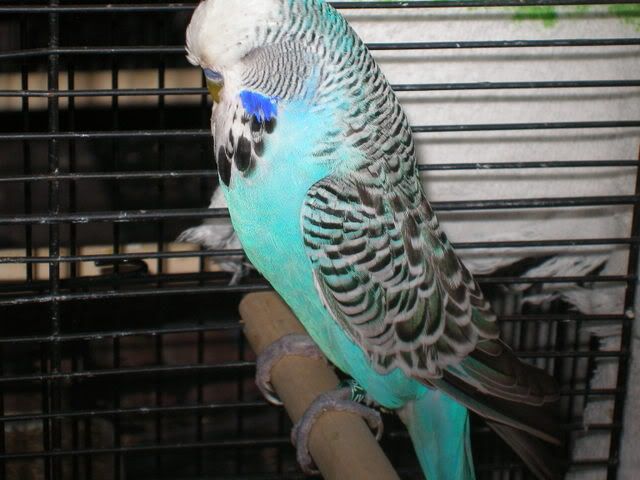 P1010003-3.jpg