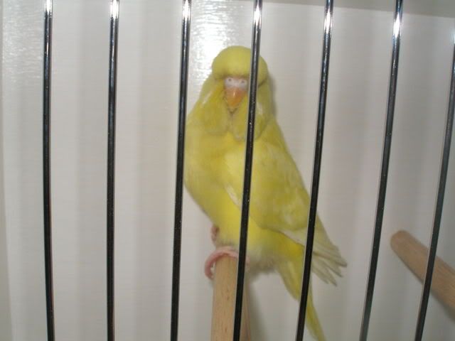 P1010004-1.jpg