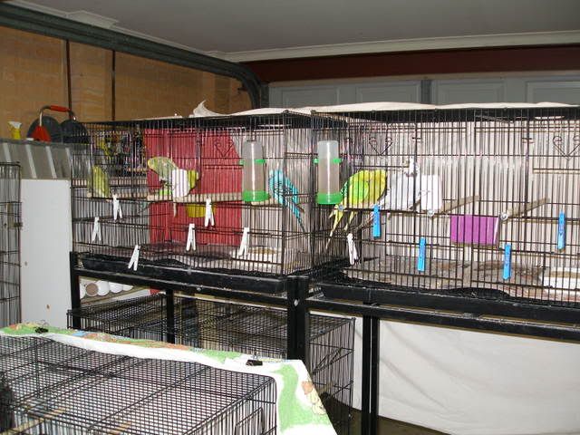 P1010004-2.jpg