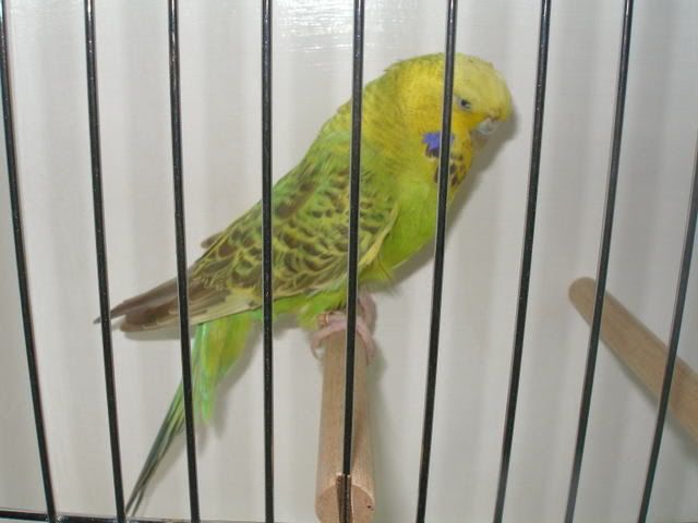 P1010005-1.jpg