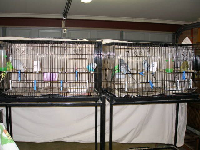 P1010005-2.jpg