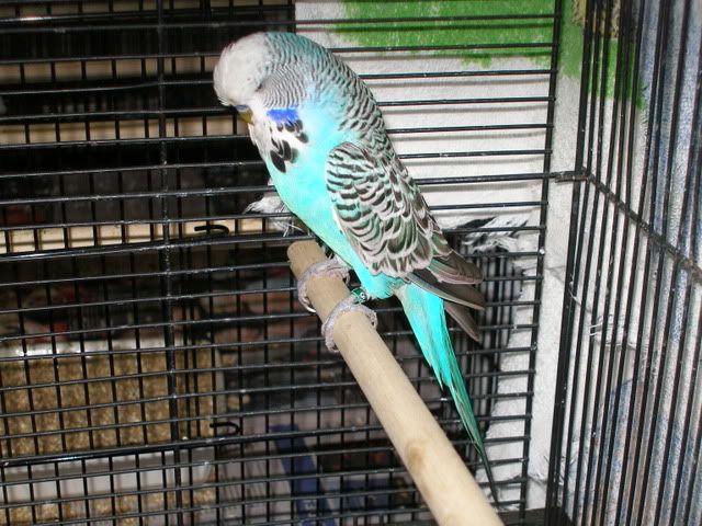 P1010005-3.jpg