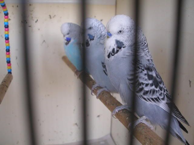 P1010005.jpg
