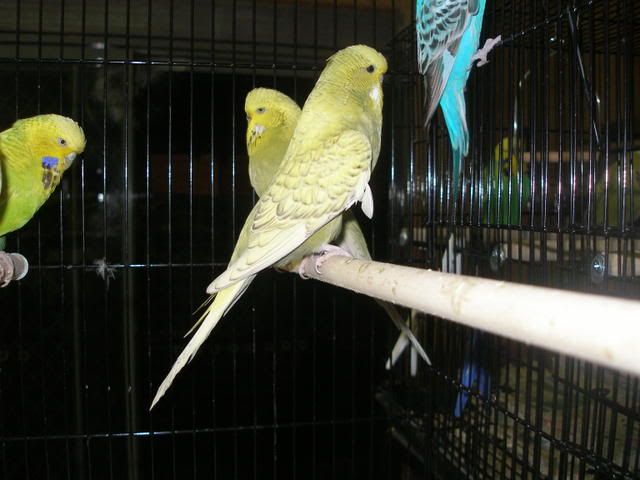 P1010007.jpg