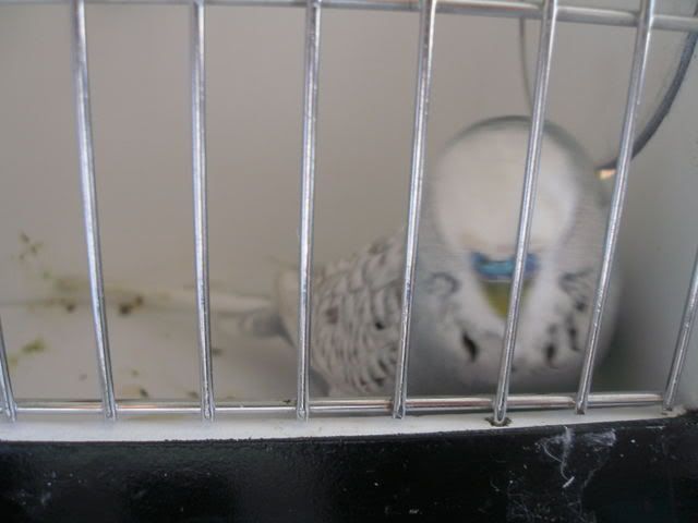 P1010009.jpg