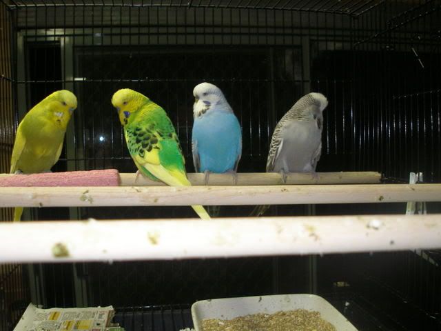 P1010010-1.jpg