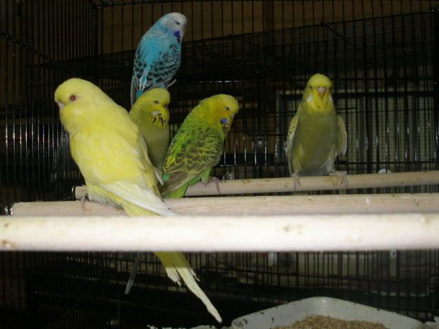 P1010014-1.jpg