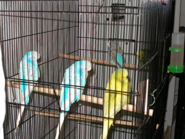 P1010014-2.jpg