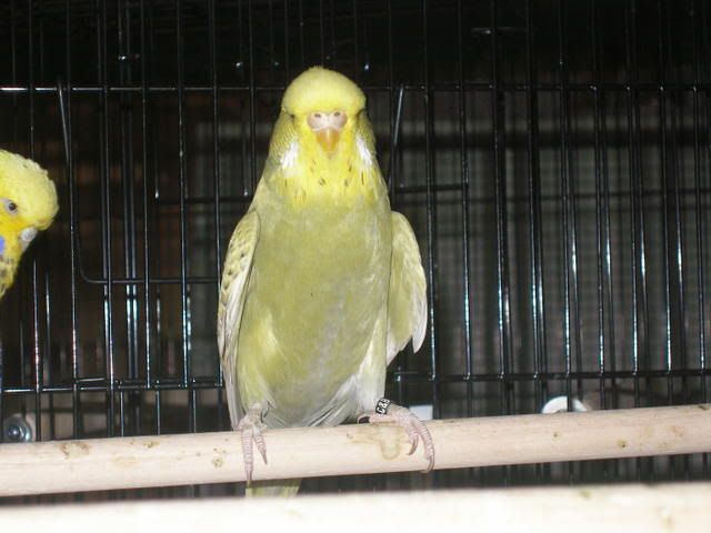 P1010015-1.jpg