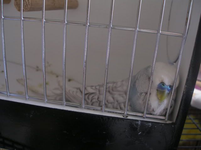 P1010020.jpg