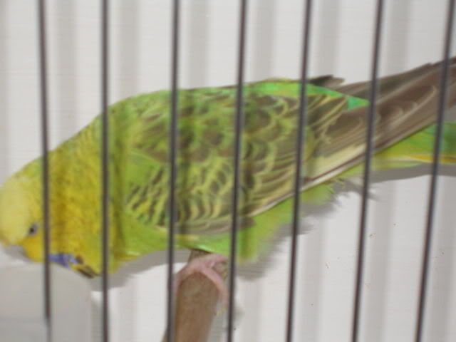 P1010029.jpg