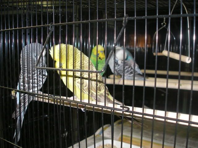 P1010035-1.jpg
