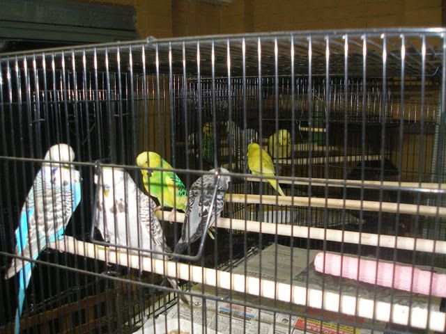 P1010038-1.jpg