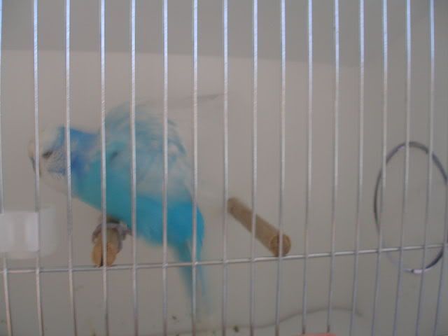 P1010040.jpg