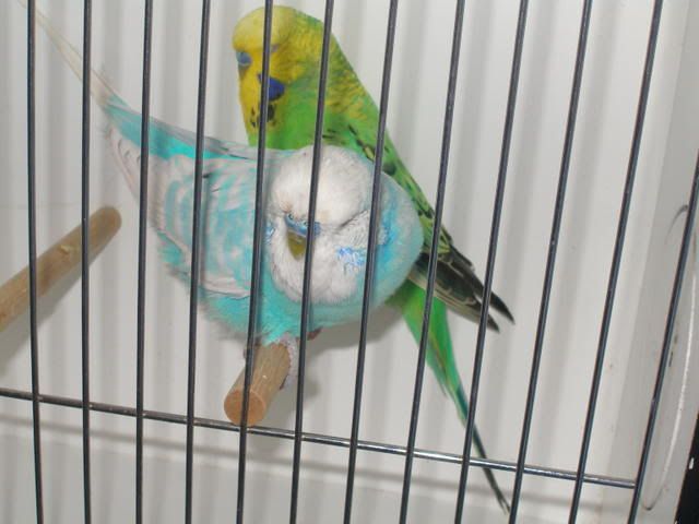 P1010049.jpg