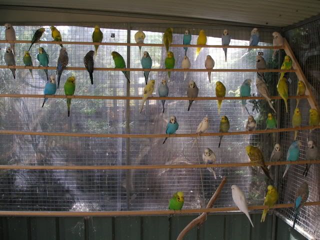 P1010005.jpg