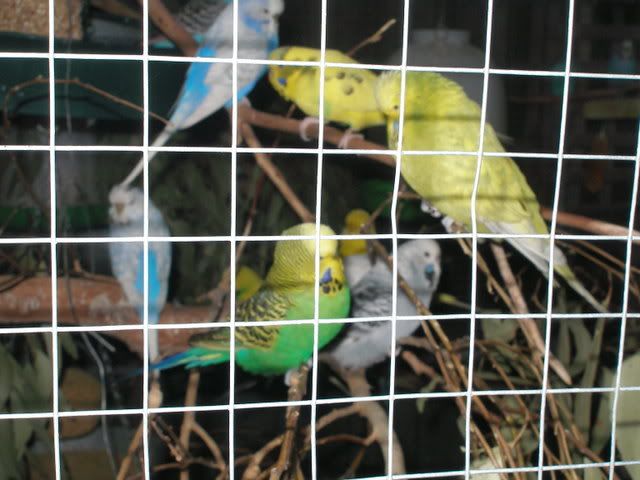 P1010012.jpg