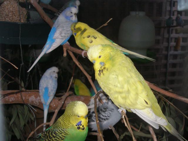 P1010013.jpg