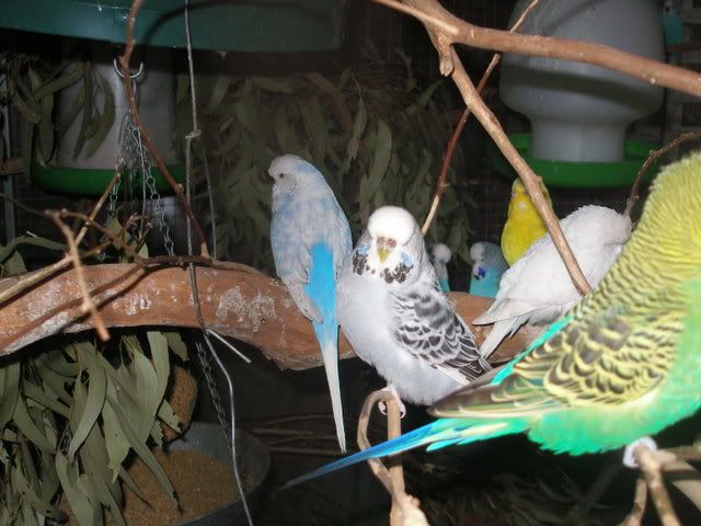 P1010015.jpg