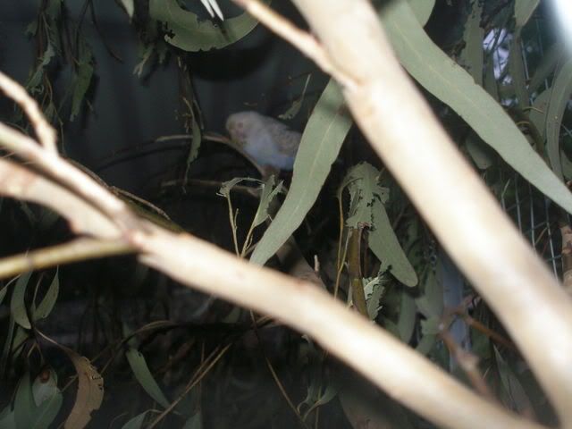 P1010016.jpg