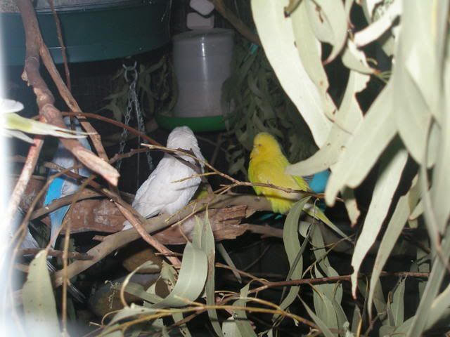 P1010017.jpg