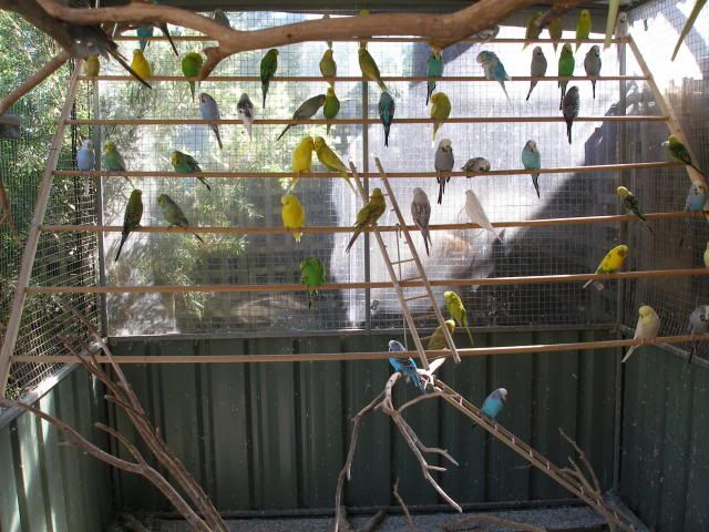 P1010019-1.jpg