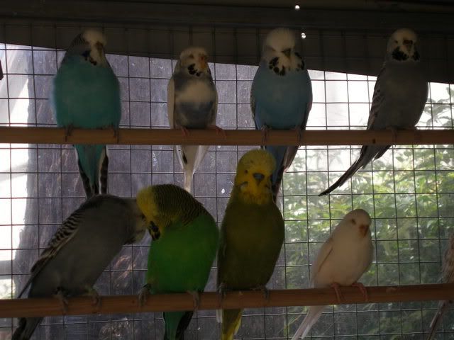 P1010028.jpg