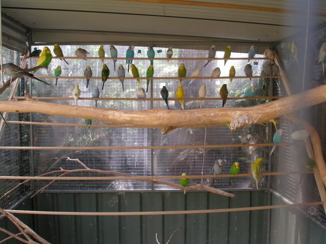 P1010033.jpg
