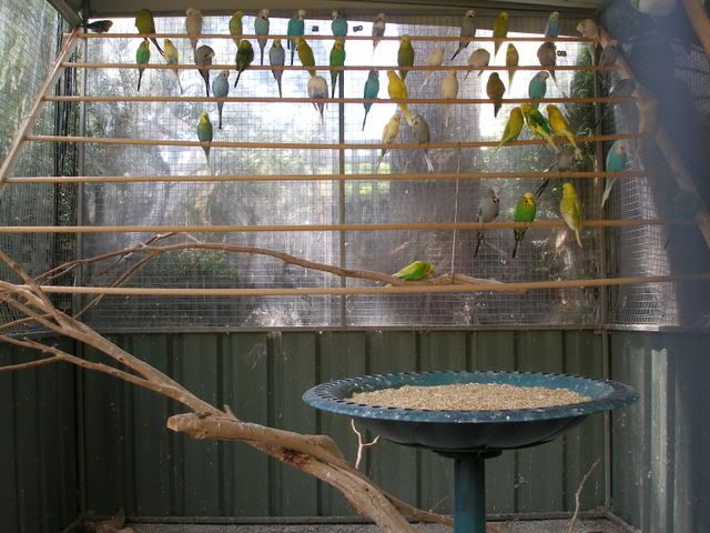 P1010034.jpg