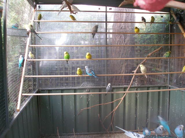 P1010121.jpg