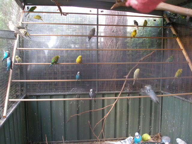 P1010122.jpg