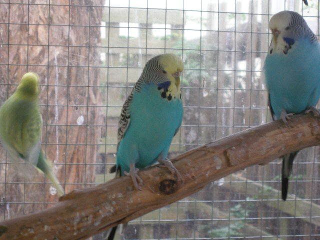 P1010008.jpg