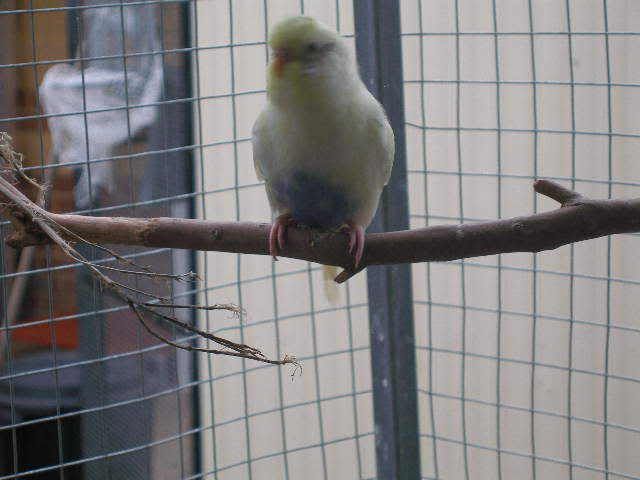 P1010042.jpg