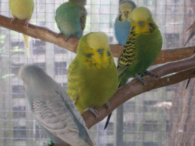 P1010044.jpg