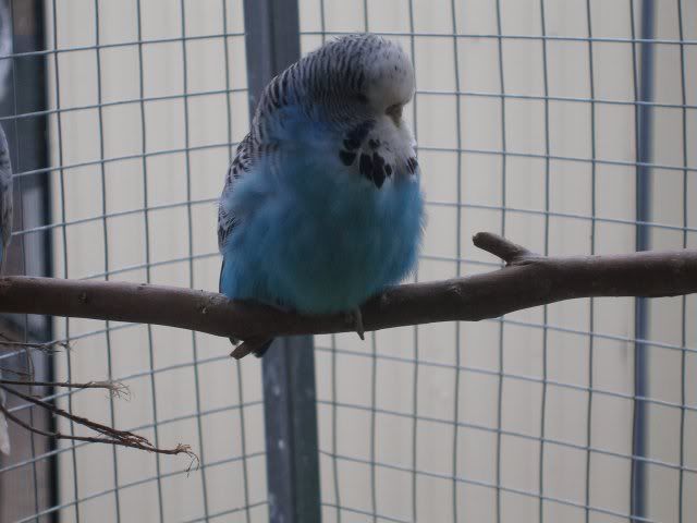 P1010056.jpg