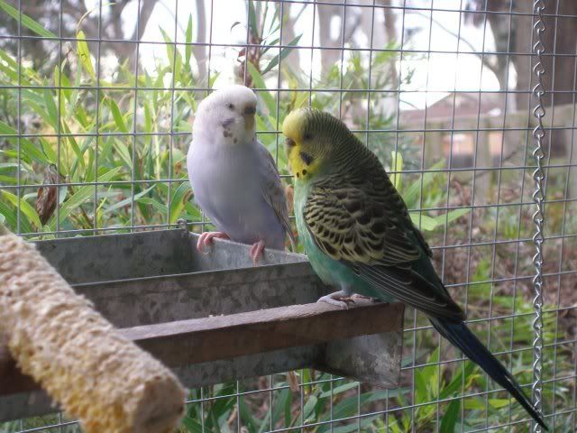 P1010072.jpg