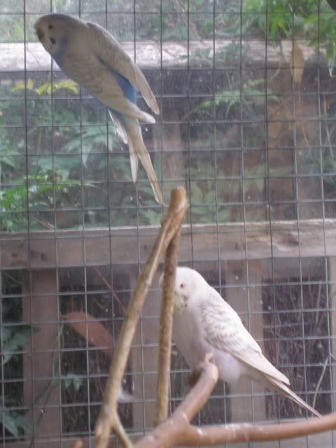 P1010077.jpg
