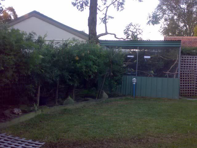 aviaryshot3.jpg