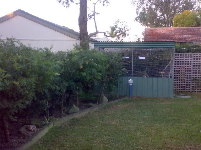 aviaryshot4.jpg