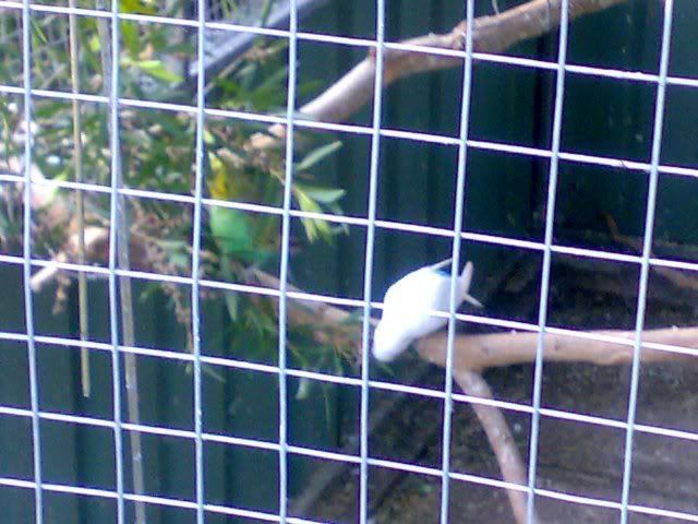 birds3.jpg