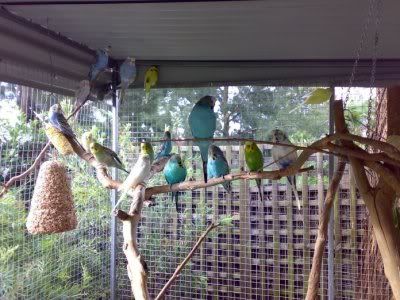 mixed6.jpg