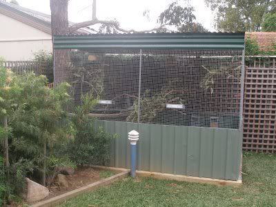 new_aviary_1.jpg